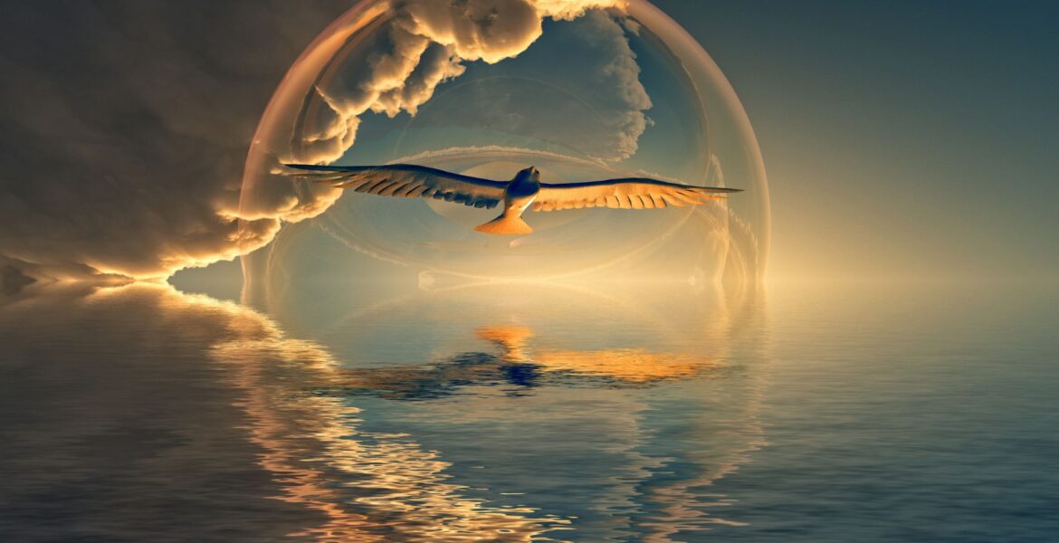 Cycles of life
