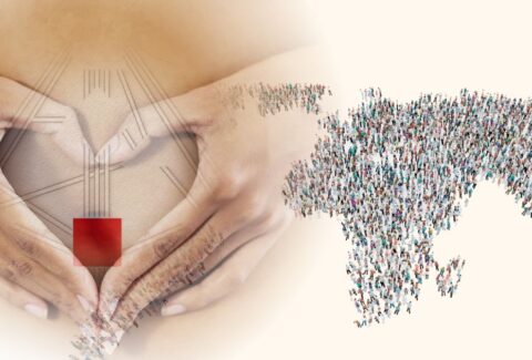 HD LAB (1)